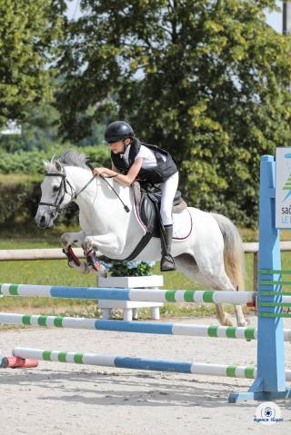 Poulinière pleine welsh b - 5 points pace - ipo 124