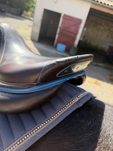 Selle cwd 2gs mademoiselle