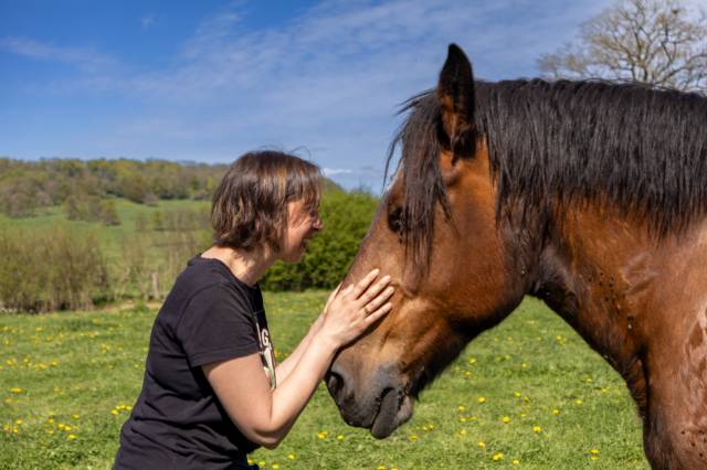 Communication animale avec votre cheval