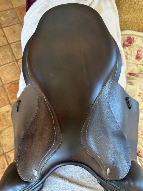 Selle forestier 17’ année 2022