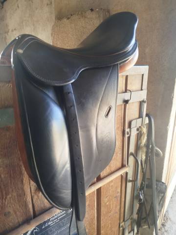 Selle forestier 