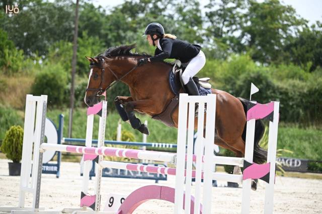 Poney d maître d’école, à louer