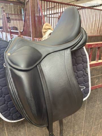 Selle de dressage childeric