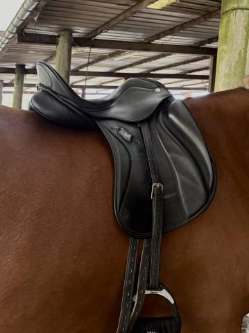Selle de dressage zaldi sanjorge 16,5 pouces