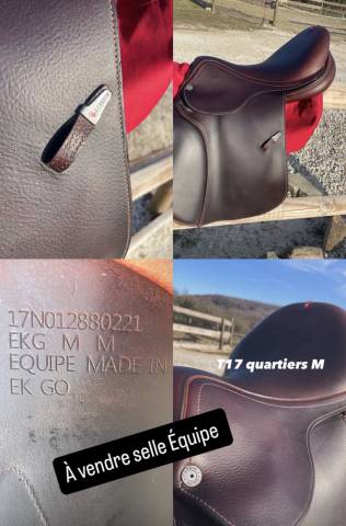 Selle équipe