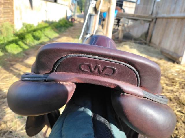 Selle cwd