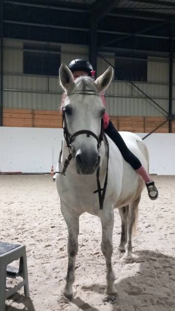 Ponette à vendre