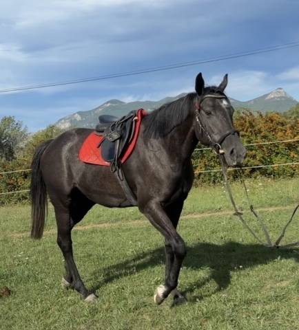 Ponette 1m49 3 ans pp
