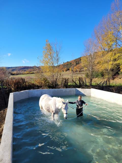 Ecurie bastide de castel - thera animalis