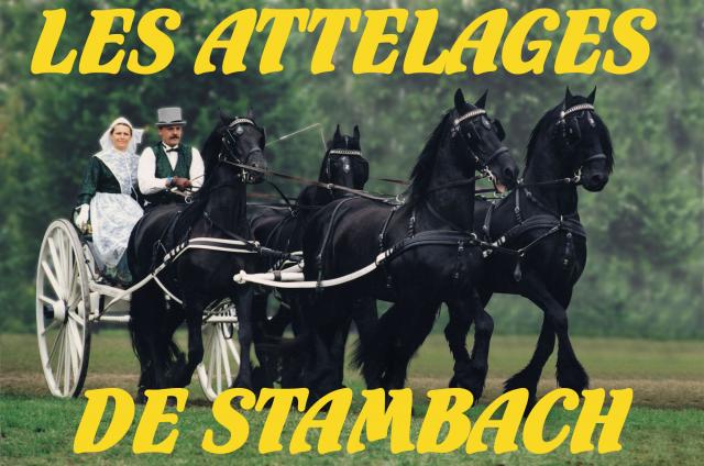 Centre de formation attelage