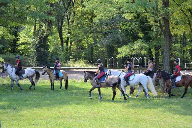 Séjour equitation en drôme provençale