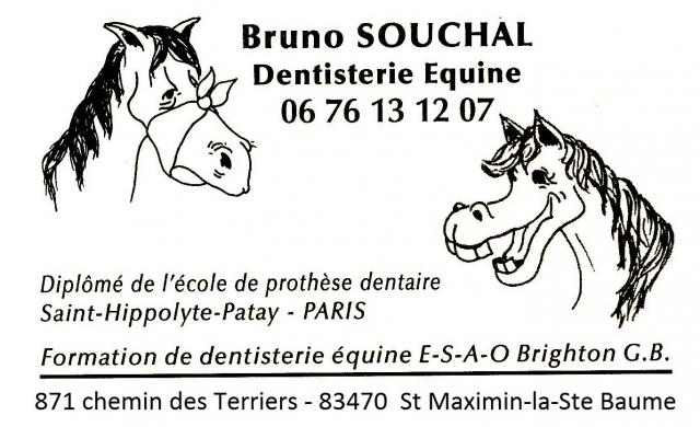 Souchal bruno