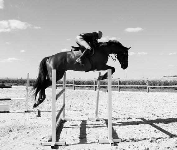 Moniteur et cavalier  florian suard