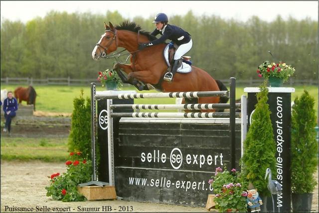 H sport horses