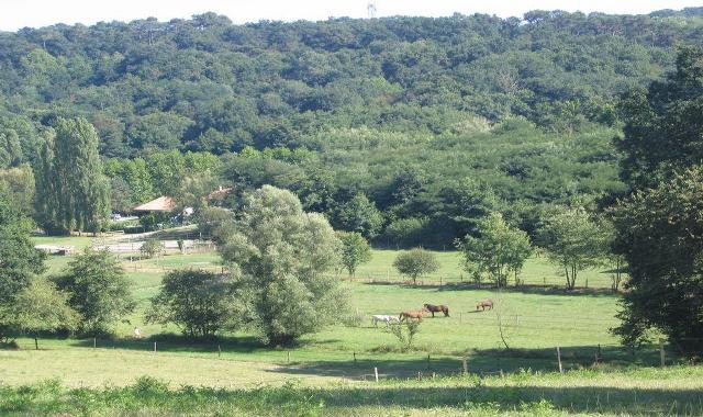 Pensions pré, pré / box    sud des landes (40)