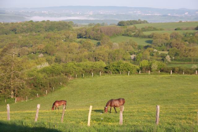 Pensions enseignement stages coaching compétition