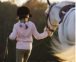 Stage d'équitation proche paris