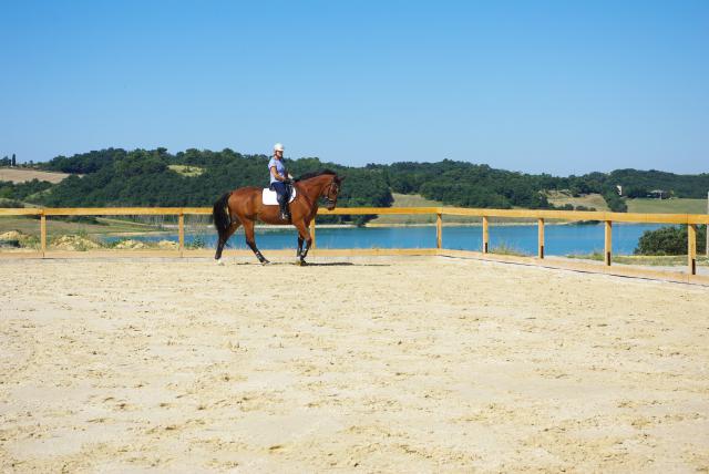 Pension box/paddock/pré au bord du lac de la ganguise