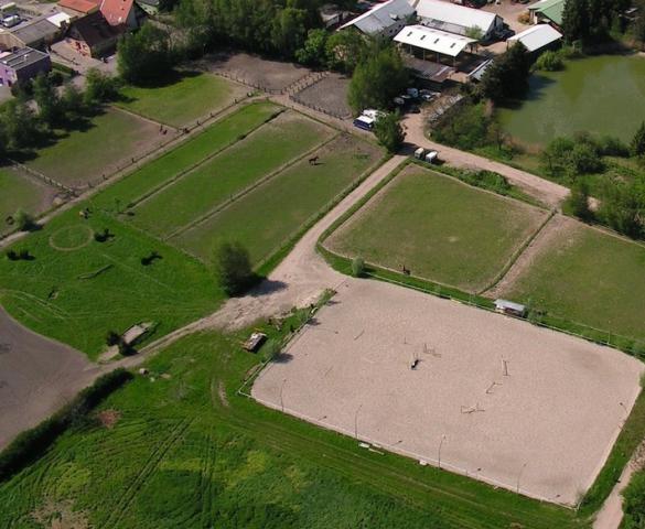 Pension ludmann cheval/poney/étalon