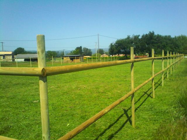 Pension chevaux
