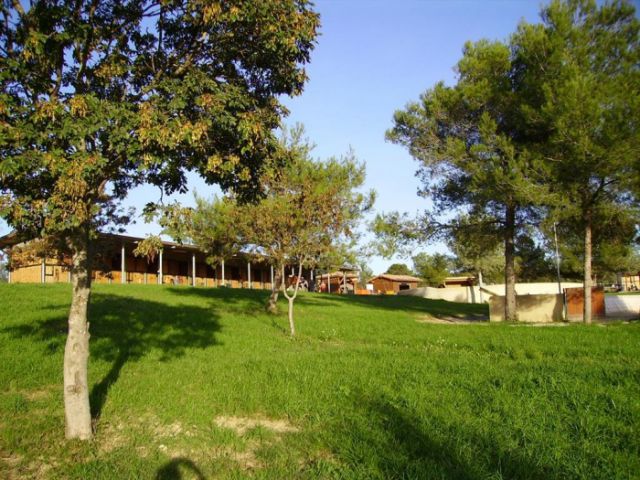 Ecurie de propriétaire proche montpellier