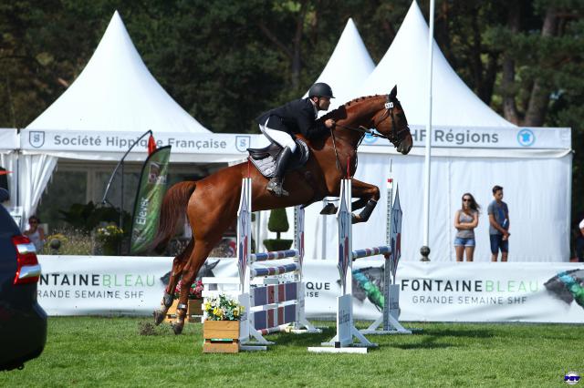 Moniteur d'équitation et cavalier indépendant 45 et 41