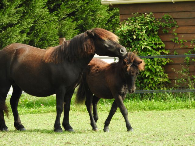 Pension pre 100€/mois