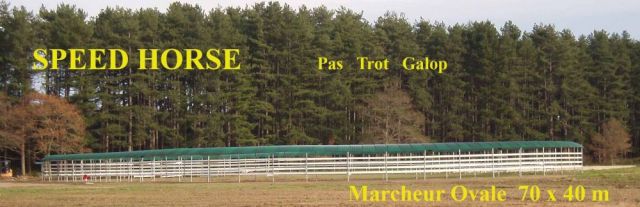 Marcheur ovale speed horse training jusqu'à 30 chevaux