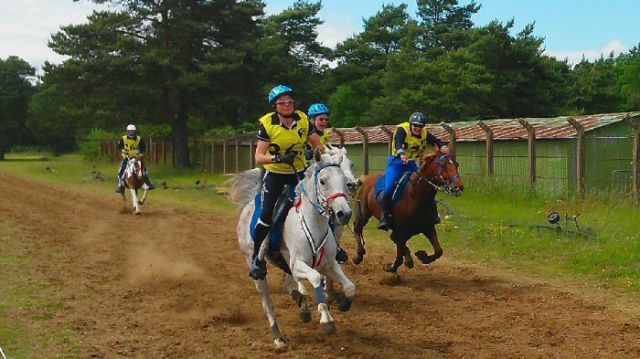 Equitation d'extérieur endurance ile de france (sud 78)