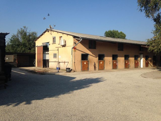 Pension pré - pension box - ecurie des marais