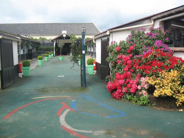 Pension écurie des rales