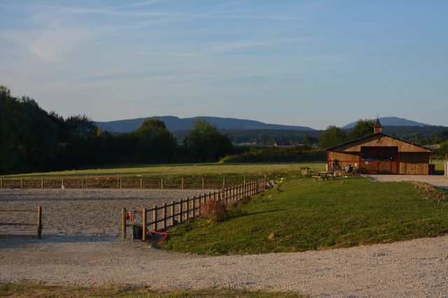 Ecurie des 2 ponts - pension et valorisation chevaux