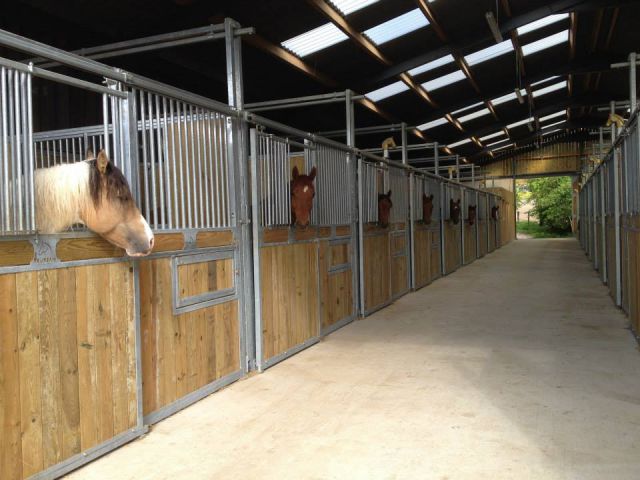 Pension chevaux toutes races-cours d'équitation western