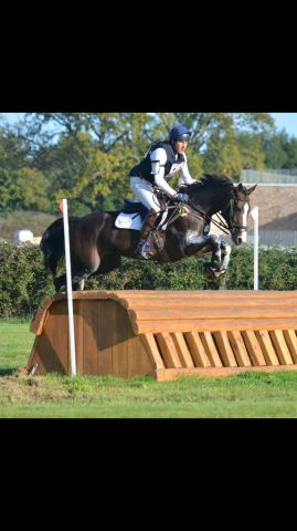 Cavalier pro cce cso cherche chevaux et propose pension