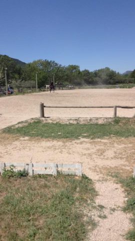 Pension chevaux