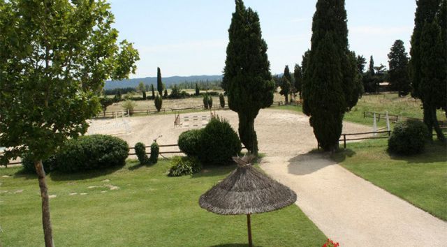 Ecurie de propriétaires . dressage. enseignement