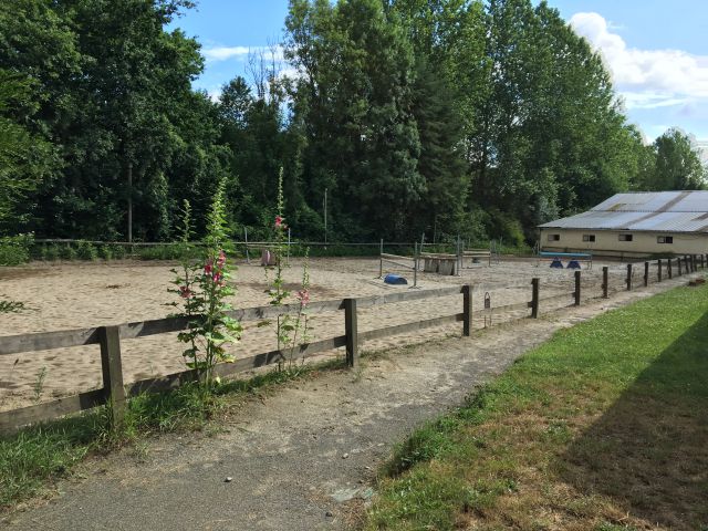 Pension compétition/loisir au cœur de la forêt de retz