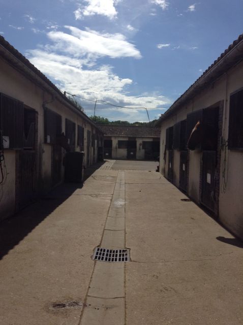 Nouvelle pension proche chartres