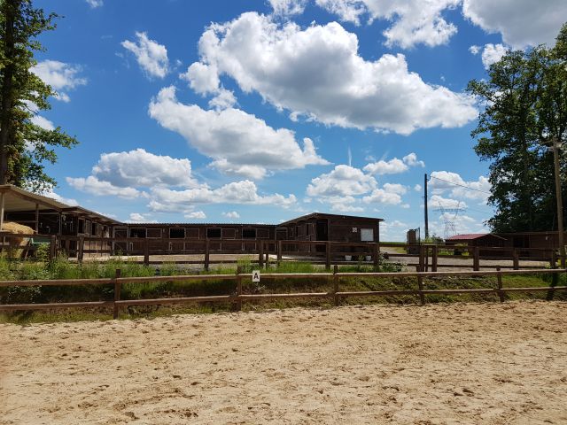 Pension chevaux