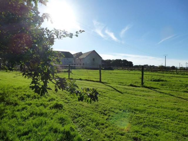 Pension pré/box ou pré à proximité de montargis