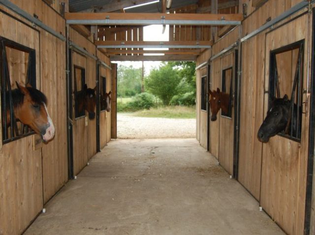 Pension de chevaux
