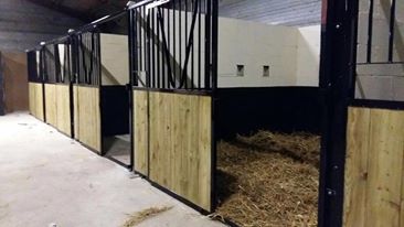 Pension chevaux