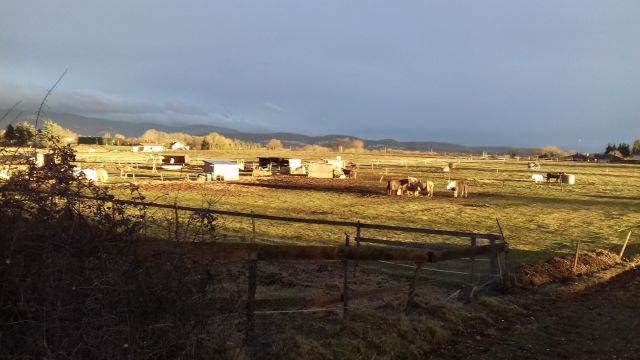 Pension dans la plaine de l'ain
