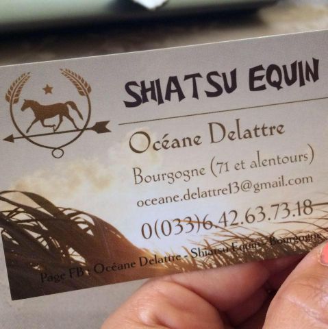 Shiatsu equin