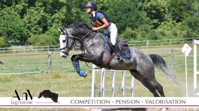 Anv equitation