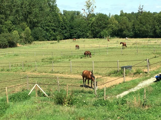 Pension dans un écrin de verdure à 15 mn de niort