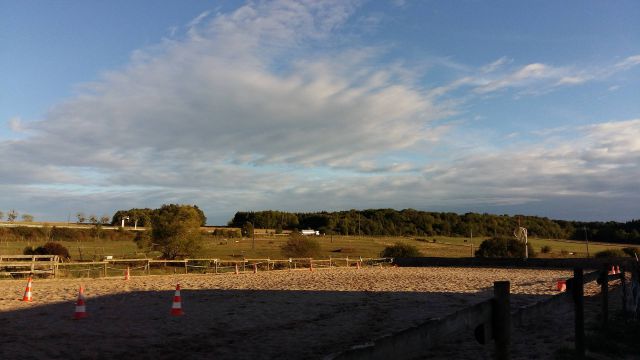 Pension cheval et poney