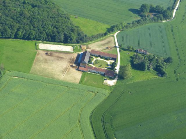 Pension atypique chevaux , poneys et anes 