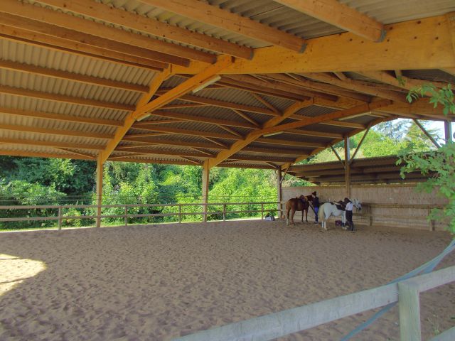 Pension cheval poney boxe paddock