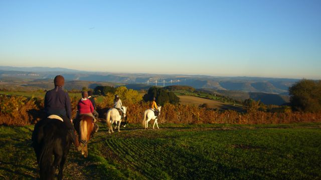 Ferme equestre les 2 chouettes
